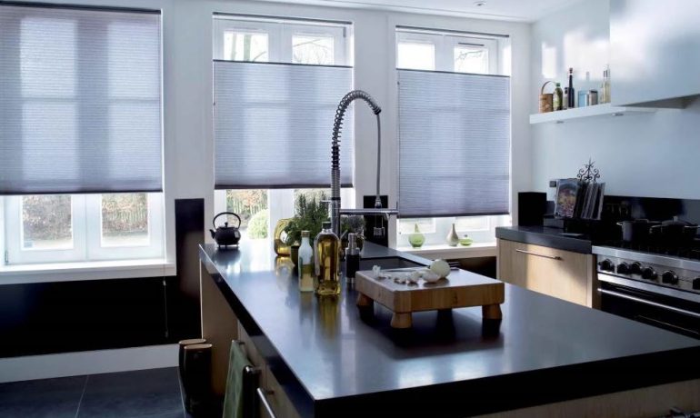 Pleated Blind
